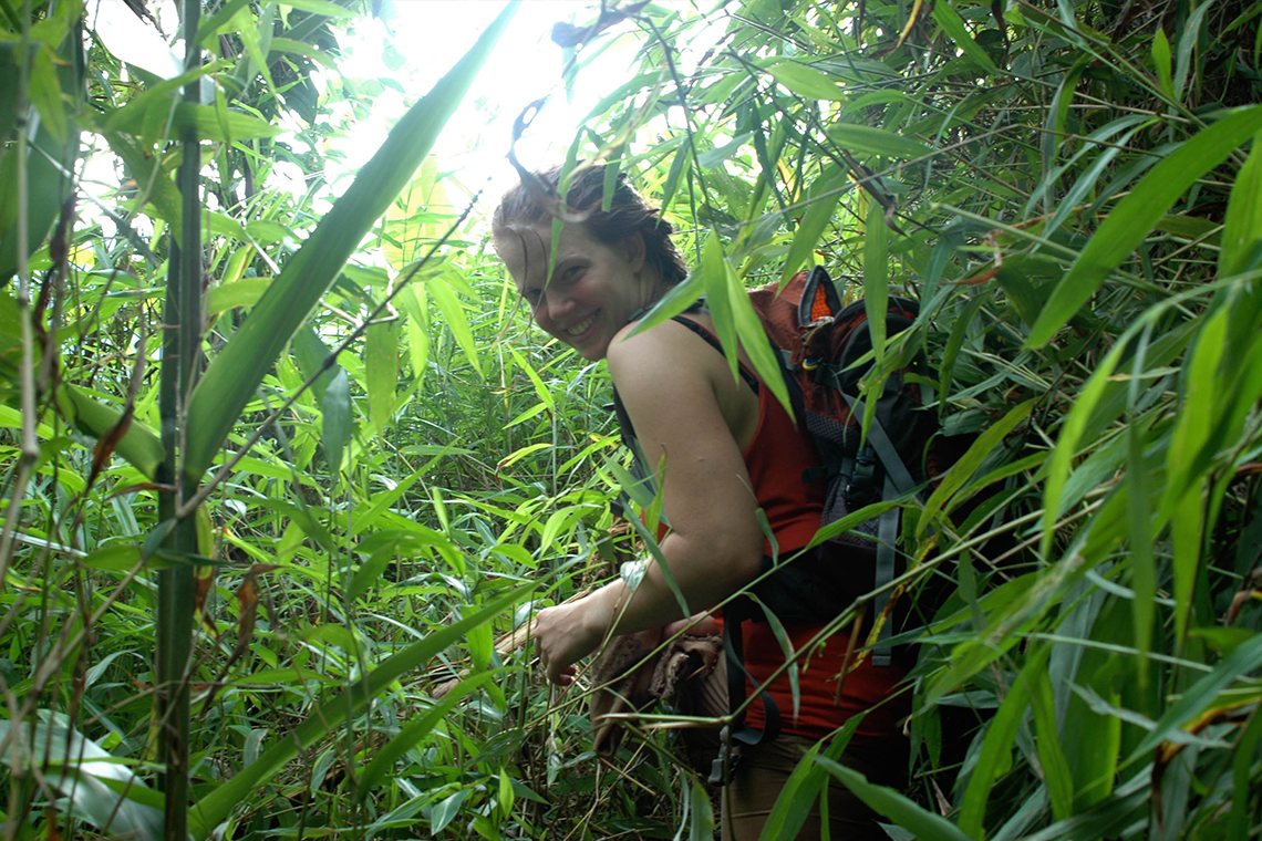 Cycle Through Laos' Historical Routes and Cultural Highlights